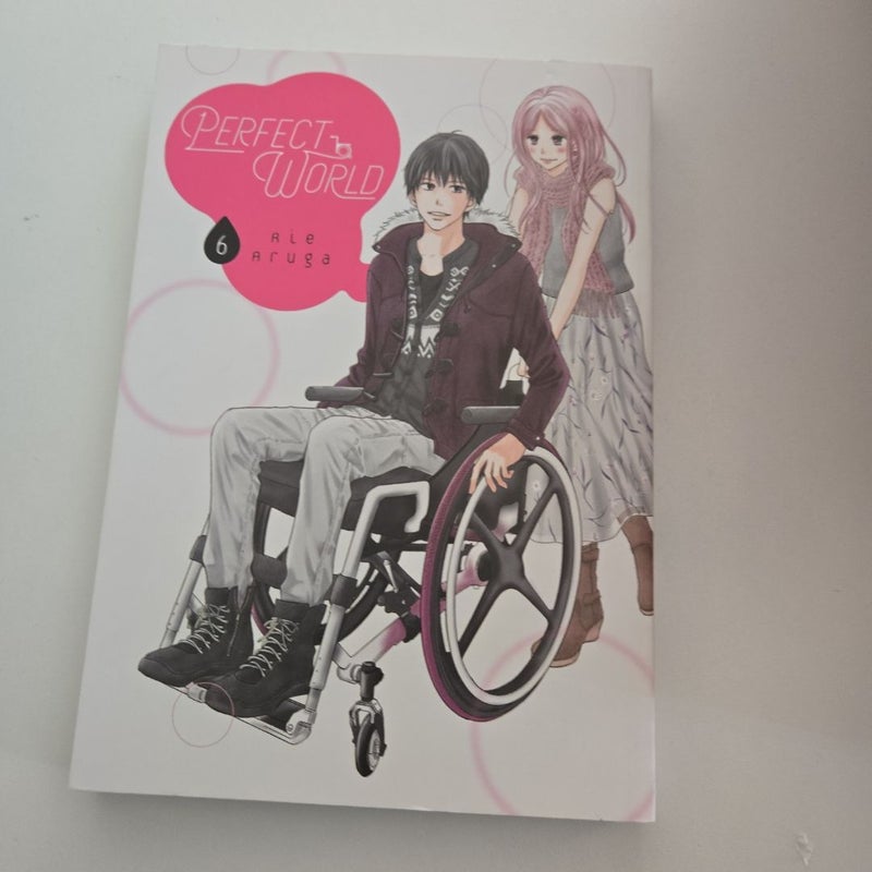 Perfect World 6