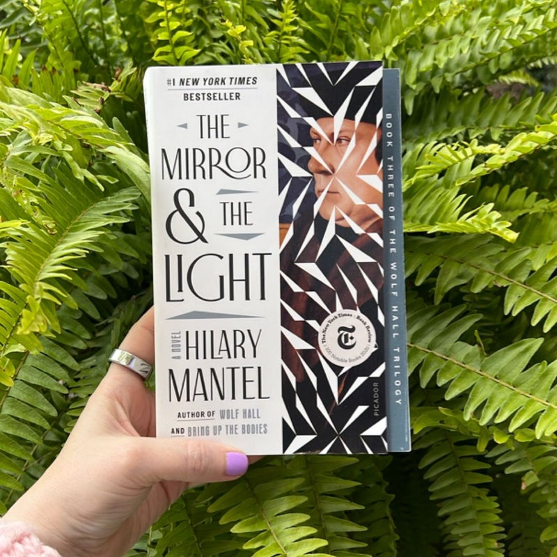 The Mirror and the Light