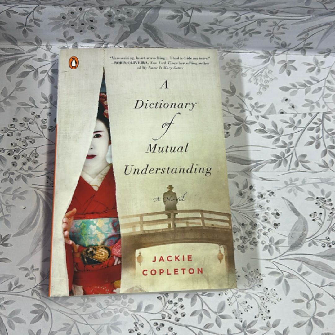 A Dictionary of Mutual Understanding