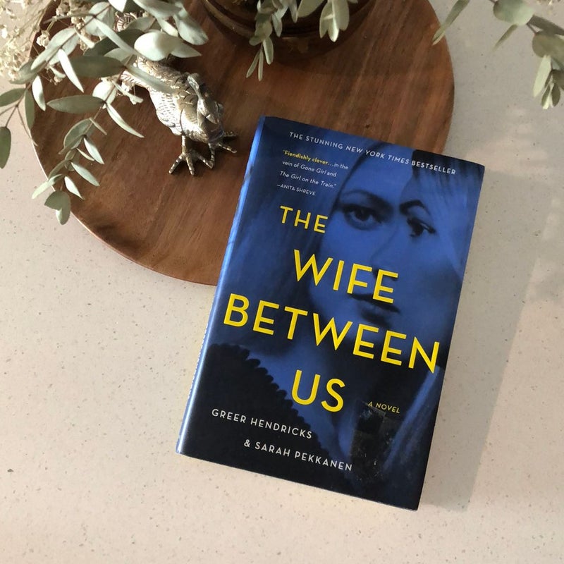 The Wife Between Us