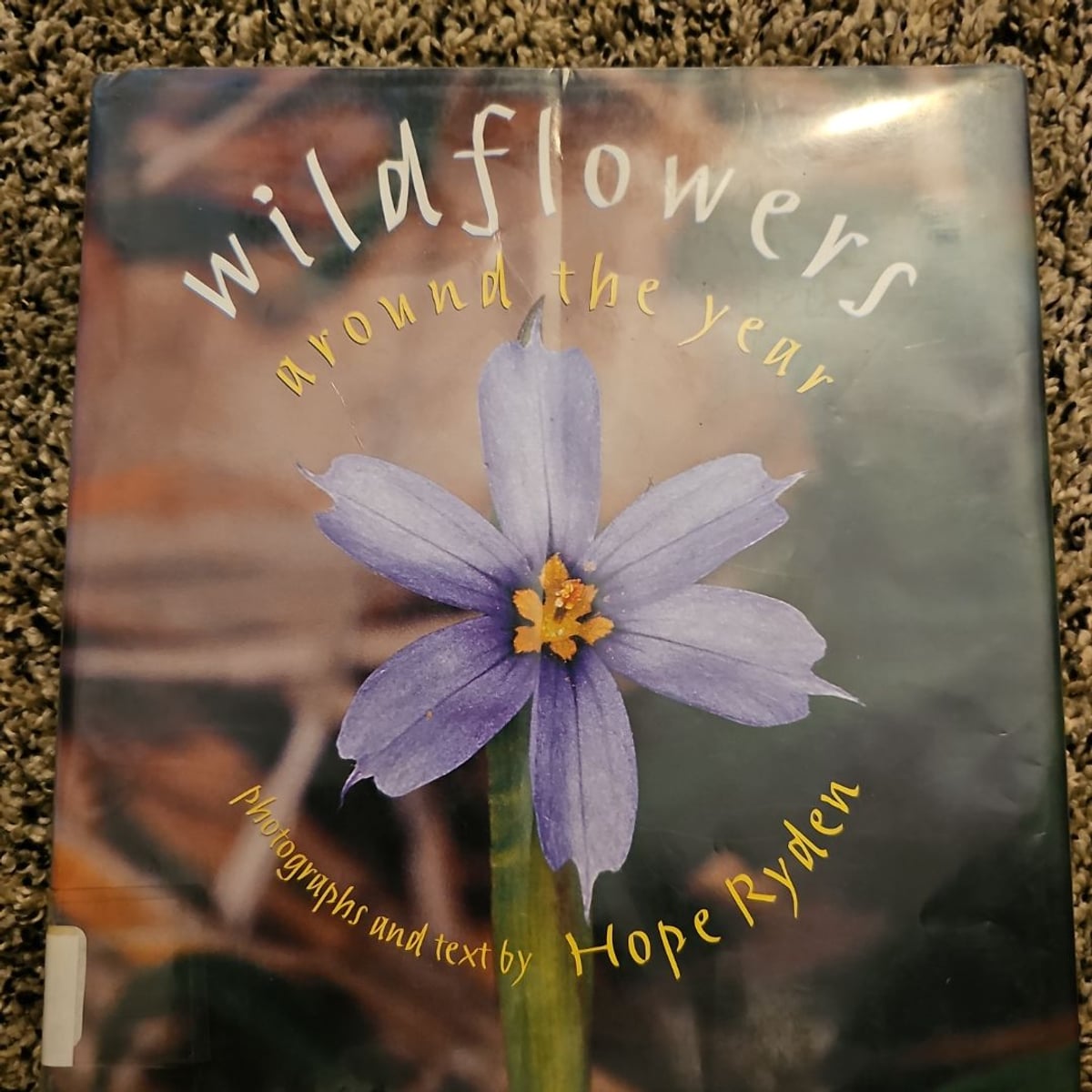 Wildflowers Around the Year by Hope Ryden