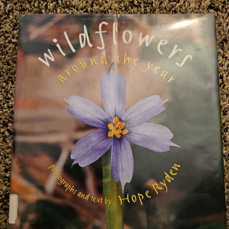 Wildflowers Around the Year