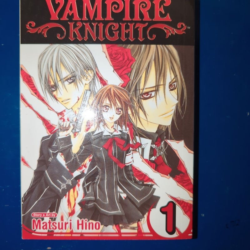 Vampire Knight, Vol. 1