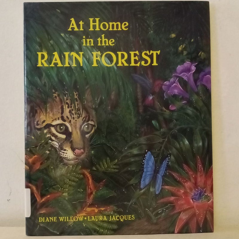 At Home in the Rain Forest