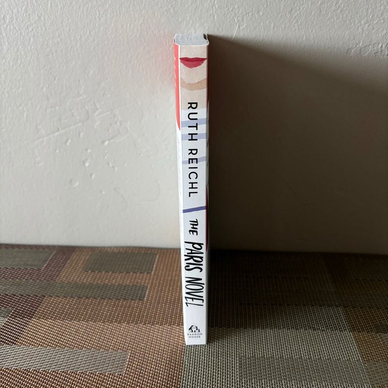 The Paris Novel