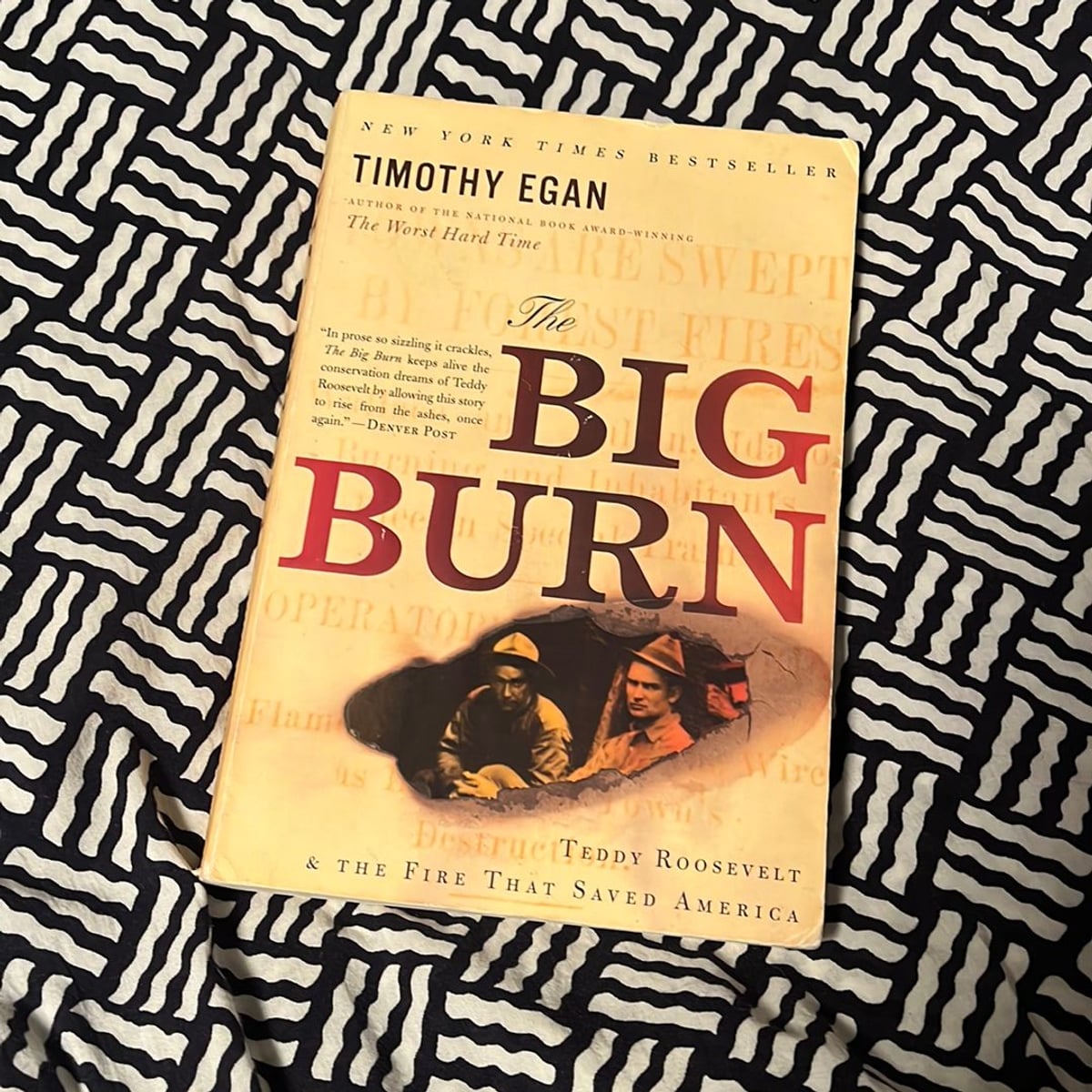 The Big Burn by Timothy Egan