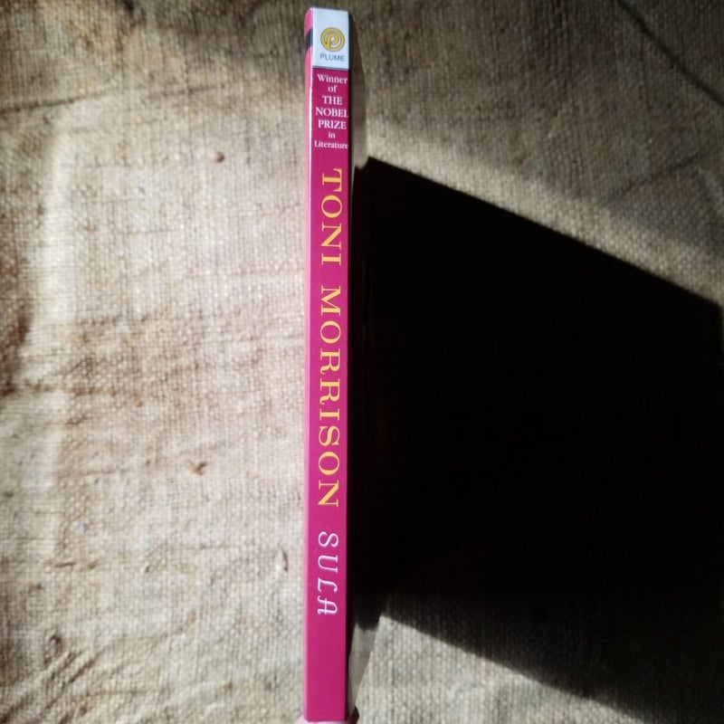 Sula by Toni Morrison, Paperback | Pangobooks