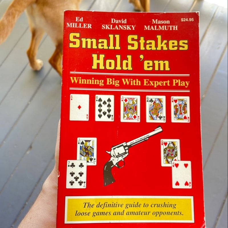 Small Stakes Hold 'em