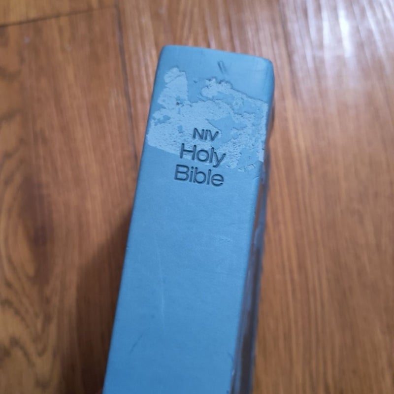 Niv holy Bible 