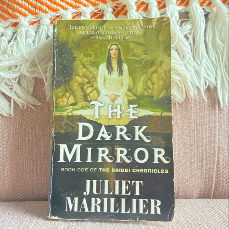 The Dark Mirror