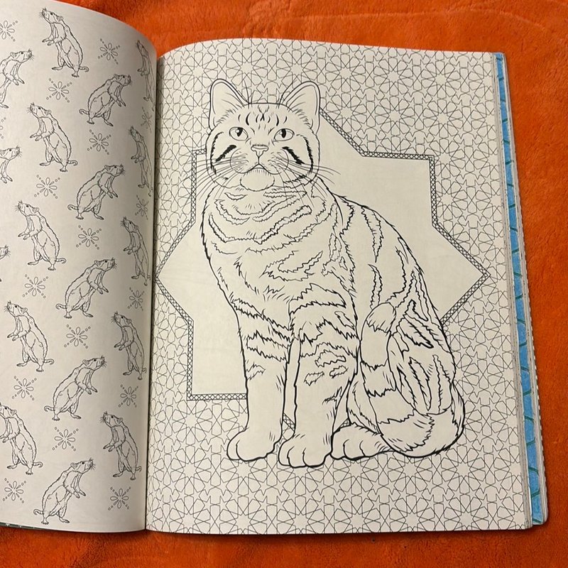 Harry Potter - Magical Creatures Coloring Book by Scholastic, Inc ...