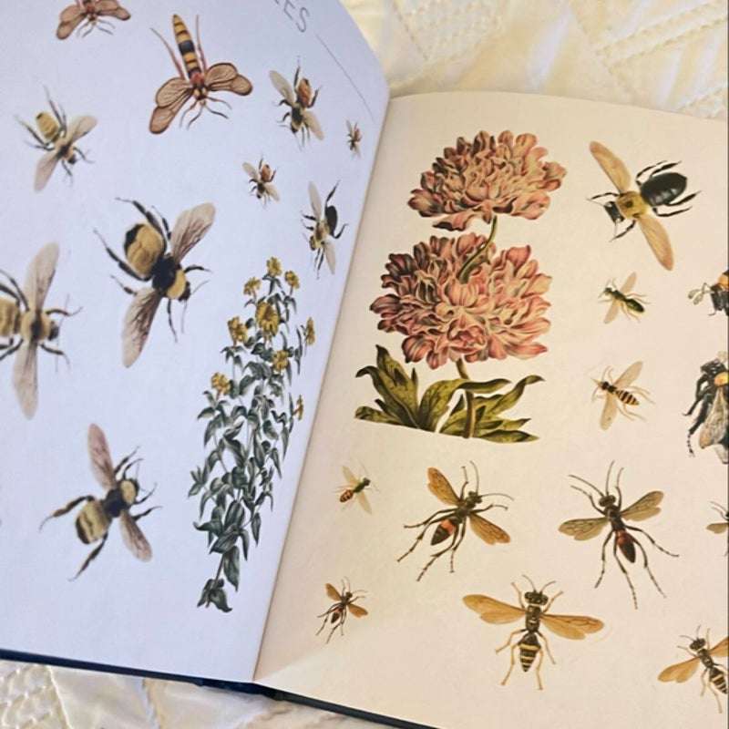 The Bees, Birds and Butterflies Sticker Anthology