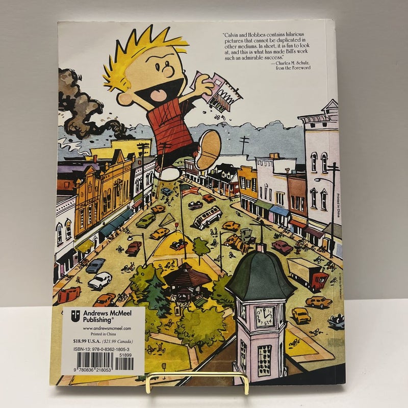 Calvin and Hobbes Comic  ( 5 Book) Bundle