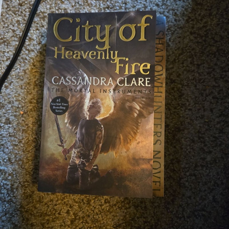City of Heavenly Fire