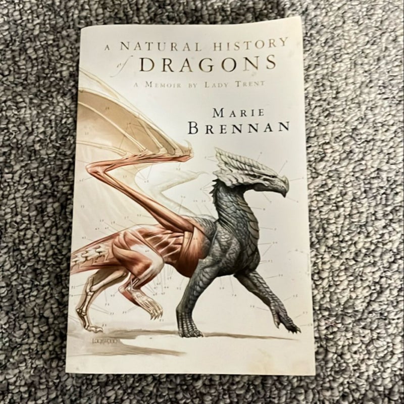 A Natural History of Dragons