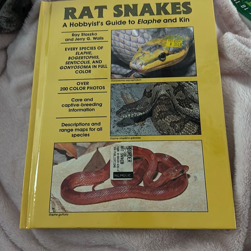 Rat Snakes