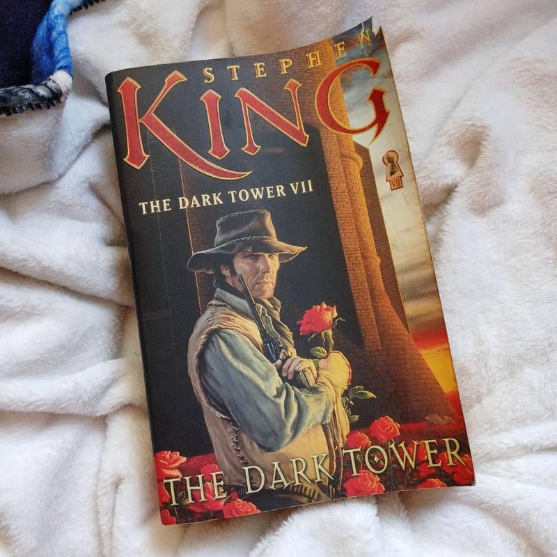 The Dark Tower VII