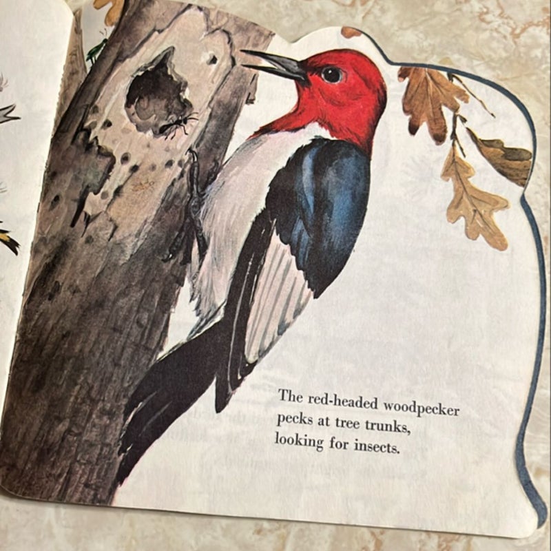 The Bird Book