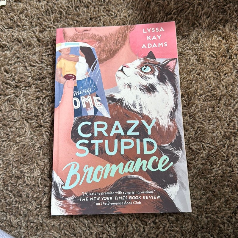 Crazy Stupid Bromance