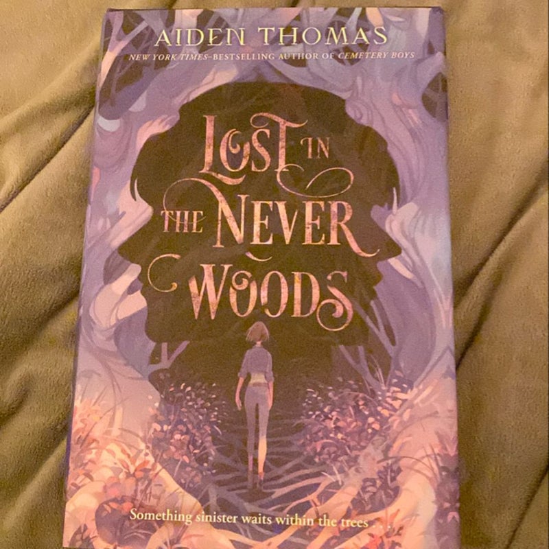 Lost in the Never Woods