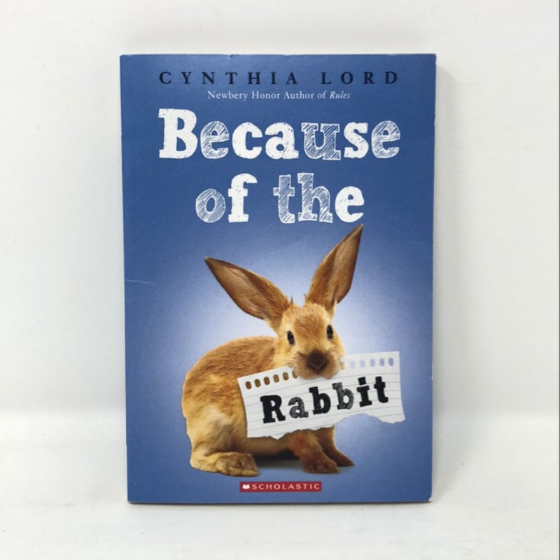 Because of the Rabbit
