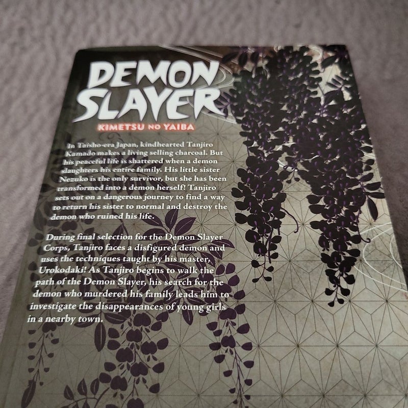 Demon Slayer: Kimetsu No Yaiba, Vol. 2
