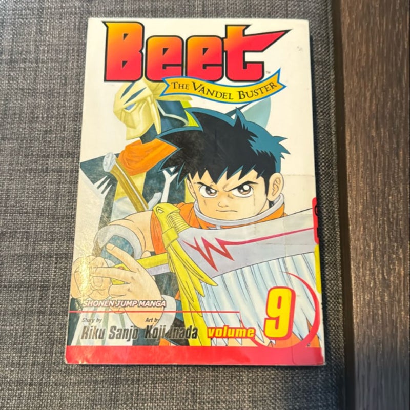 Beet the Vandel Buster, Vol. 9