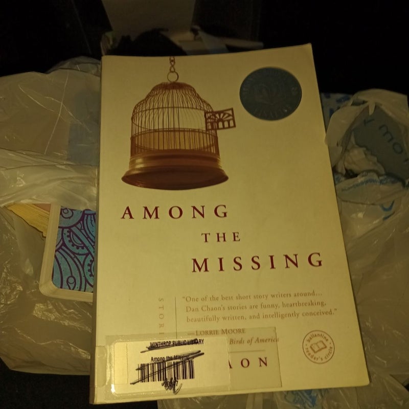 Among the Missing