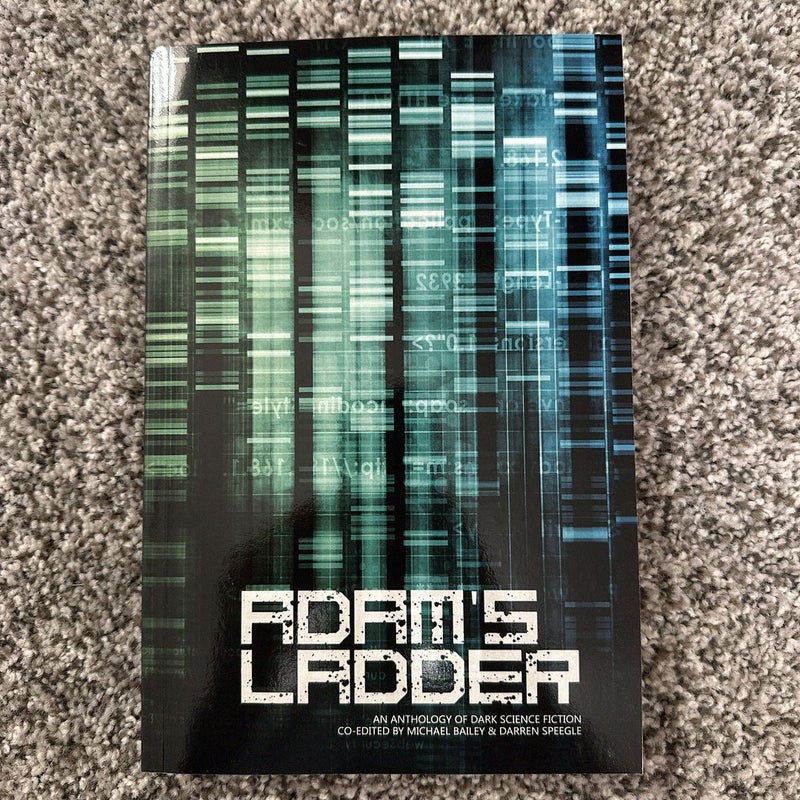 Adam's Ladder