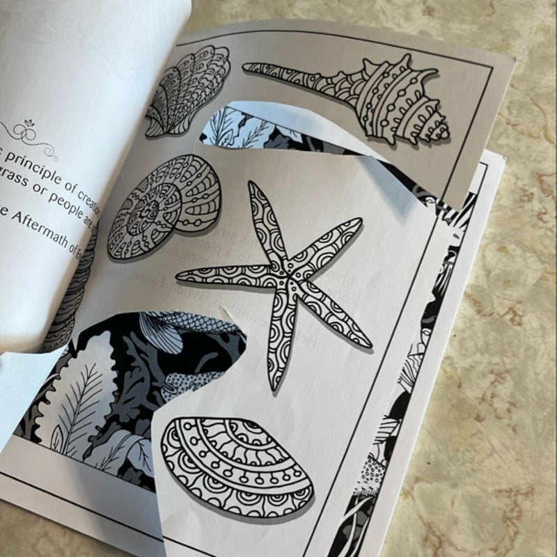 Bundle of 3 adult coloring books