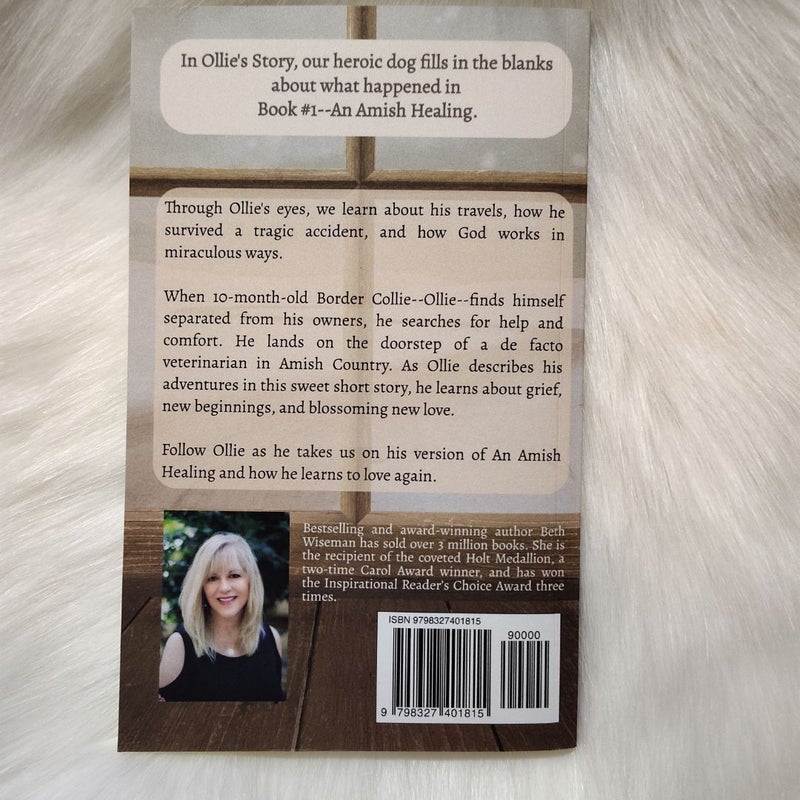An Amish Healing (a Romance)
