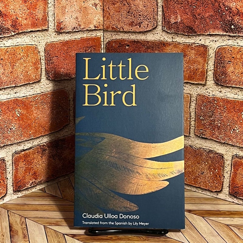 Little Bird