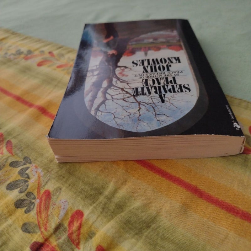 A Separate Peace