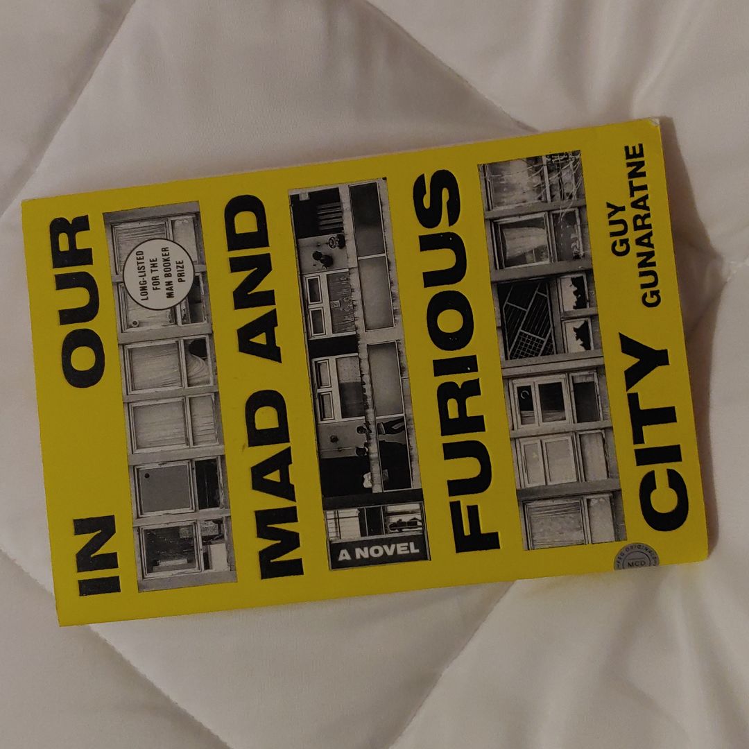 In Our Mad and Furious City