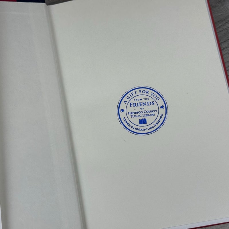 The Paris Novel