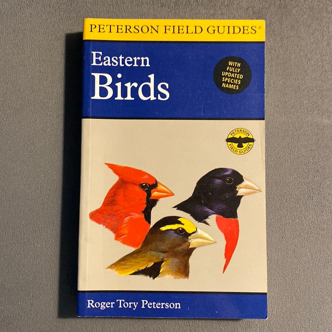 Eastern Birds