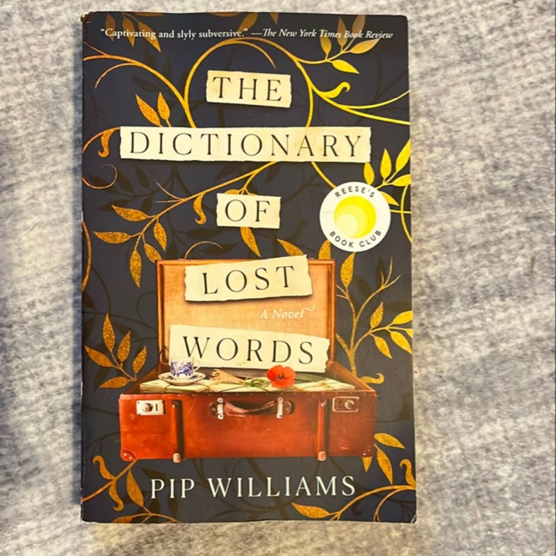 The Dictionary of Lost Words