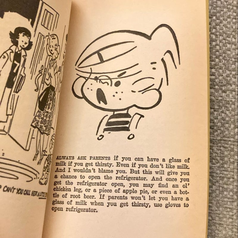 Babysitter’s Guide by Dennis the Menace