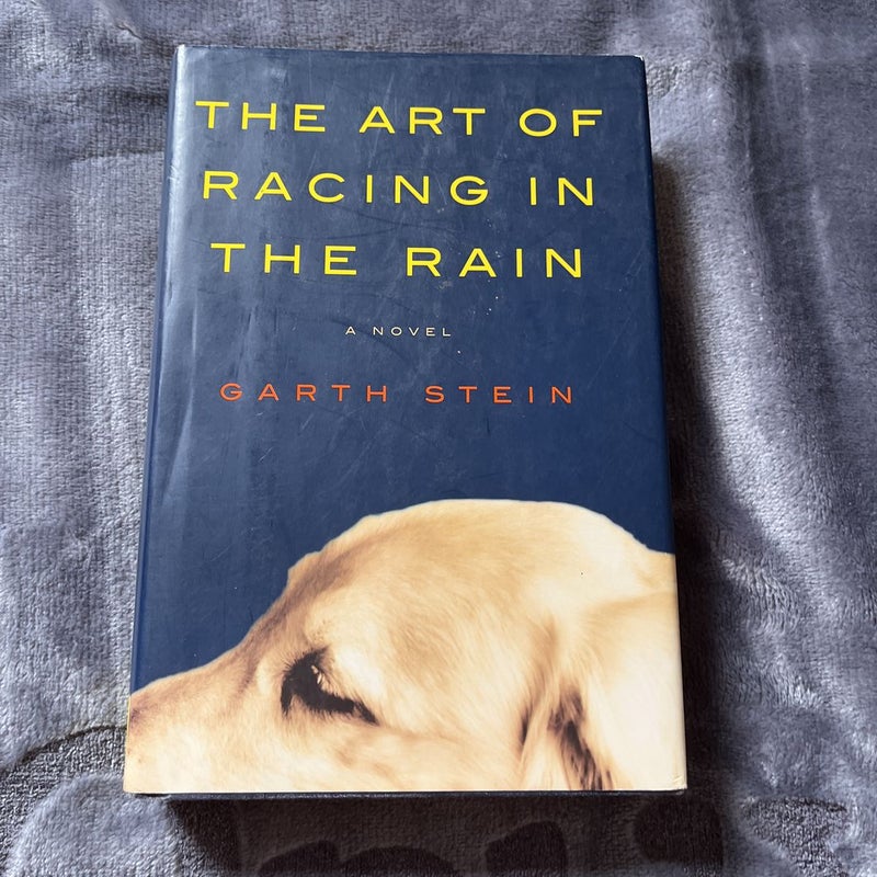 The Art of Racing in the Rain