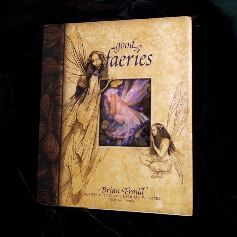 Good Faeries Bad Faeries