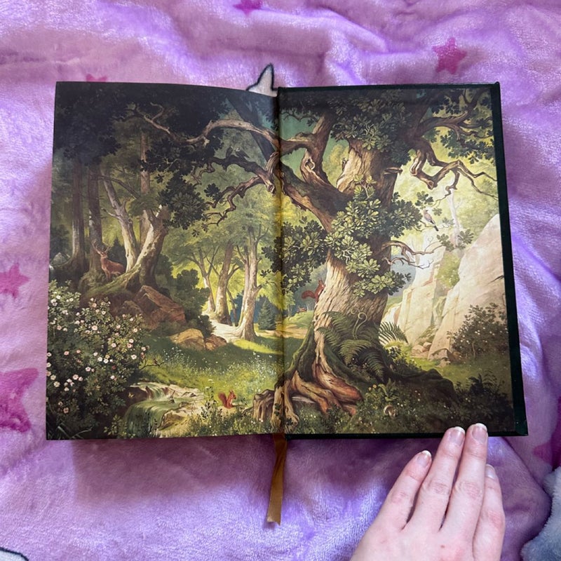 Grimm’s Fairytales (Barnes and Noble Special Edition)