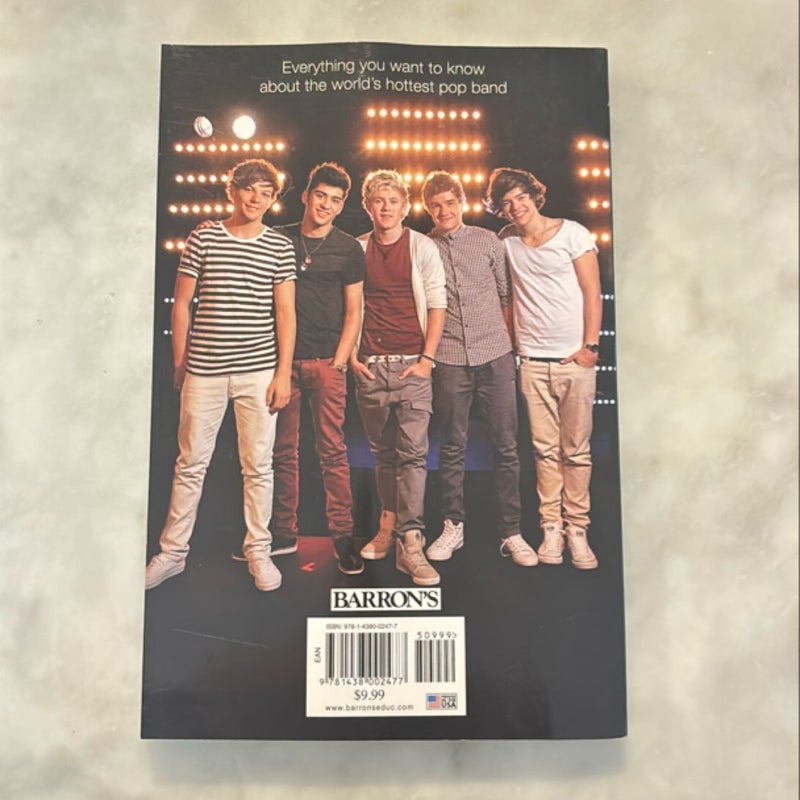 The One Direction Story