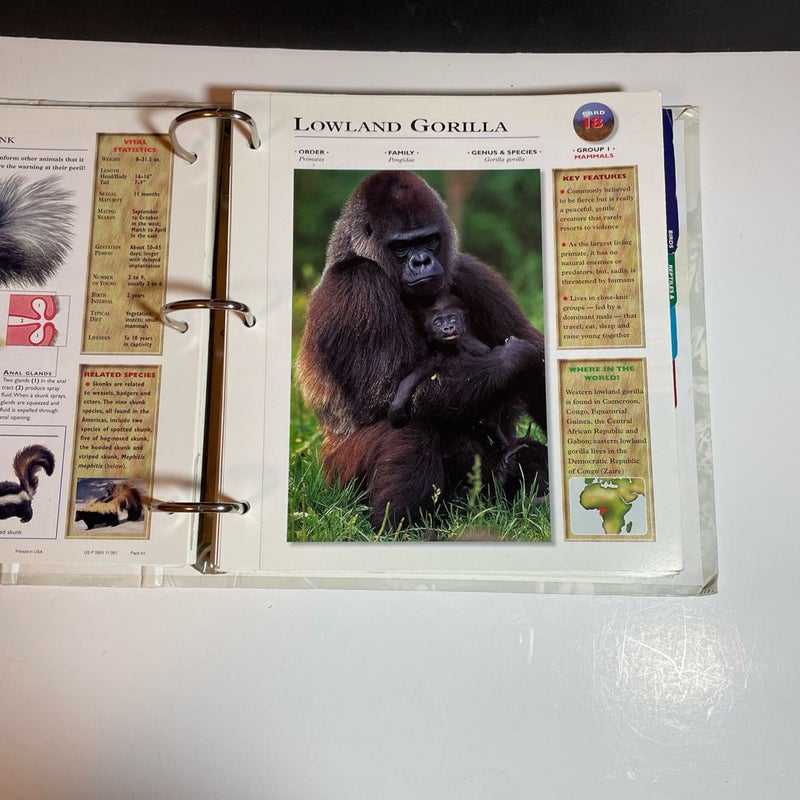 Wildlife Explorer Binder — Groups 1-8 with  100+ Cards & Tabs, Published 1998