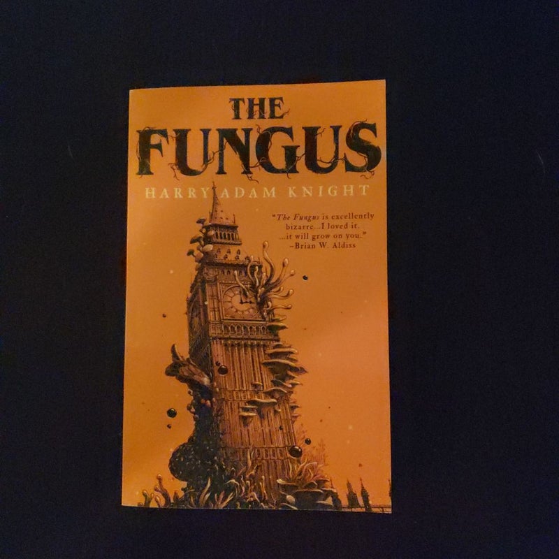 The Fungus