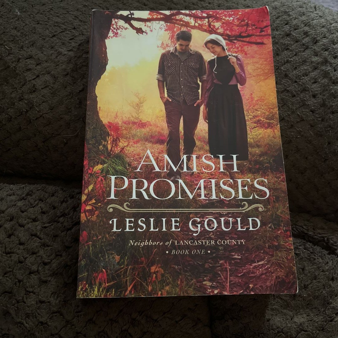 Amish Promises
