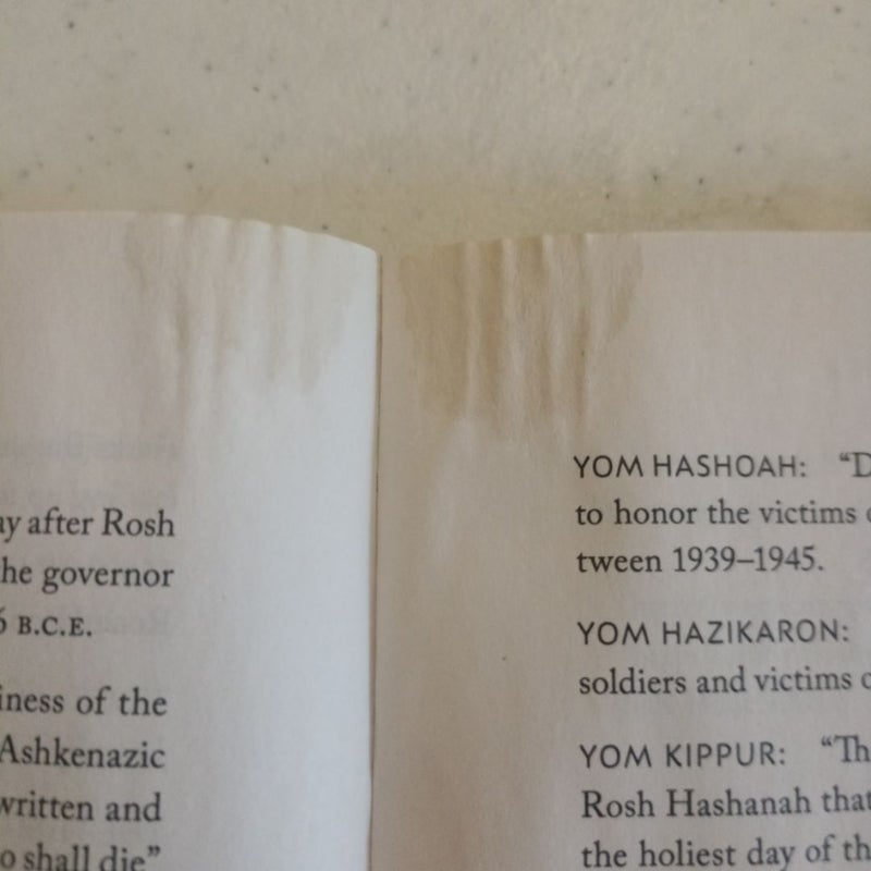 My Jewish Year 