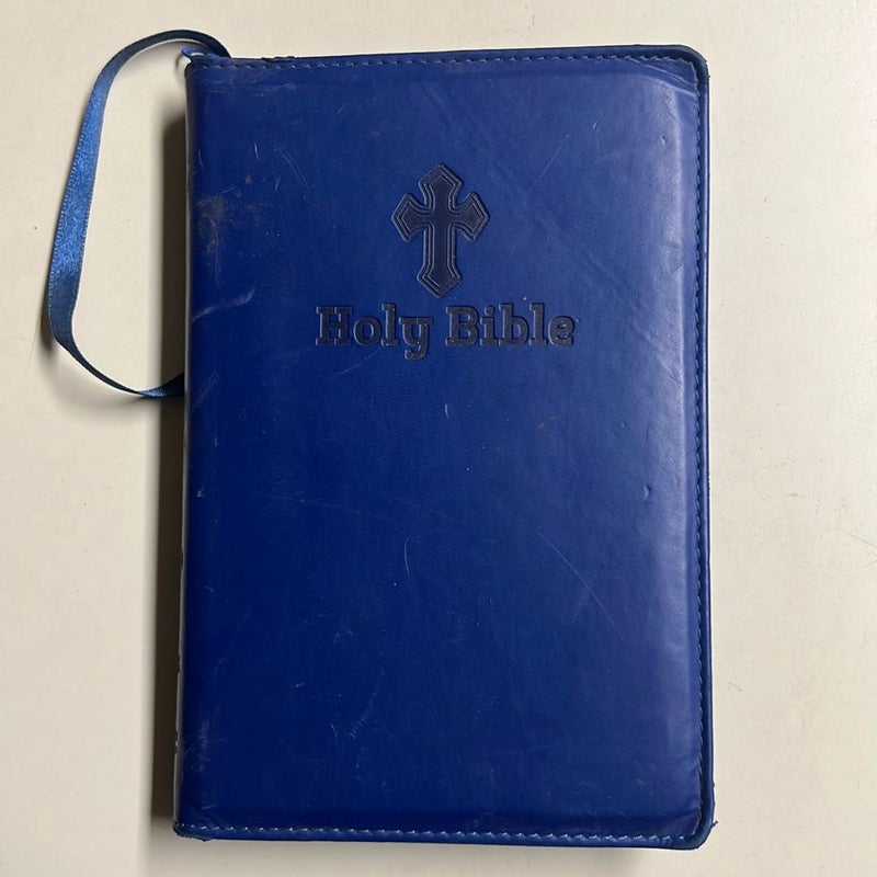 Niv Holy Bible