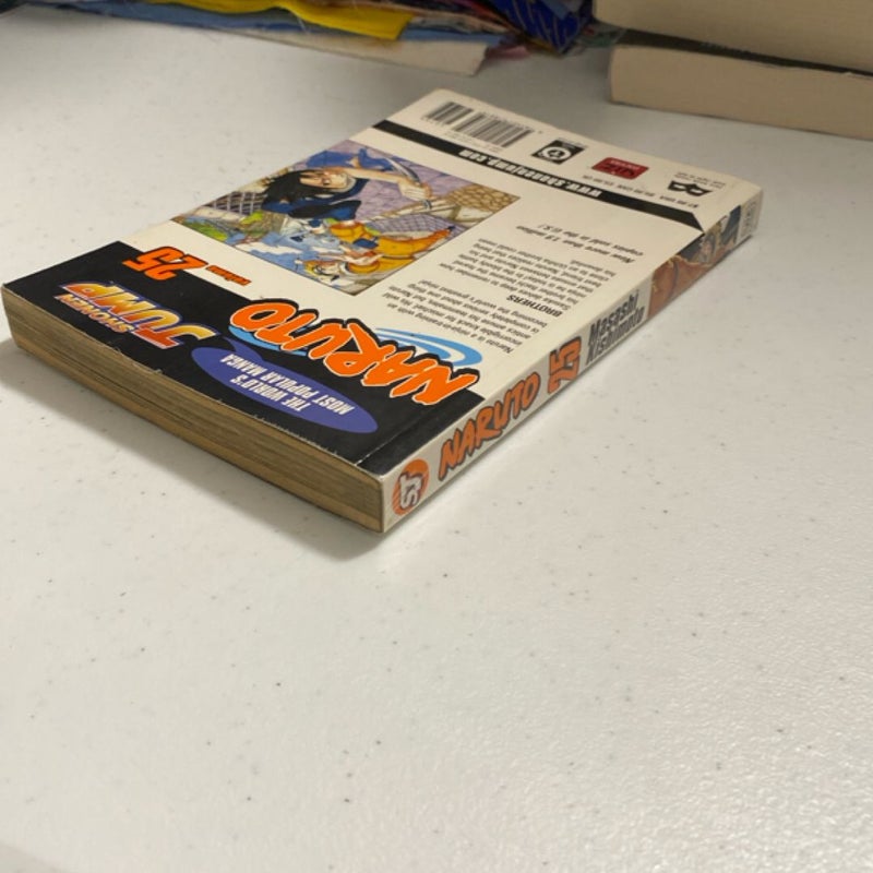 Naruto, Vol. 25