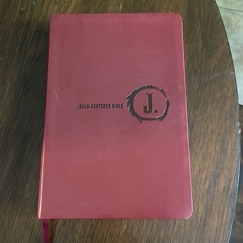 Jesus-Centered Bible NLT, Cranberry