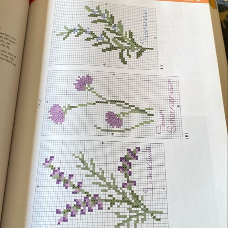 The Big Book of Cross-Stitch Designs